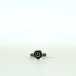 Rose Model Silver Set