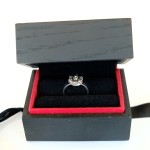 Cornucopia Model Silver Set